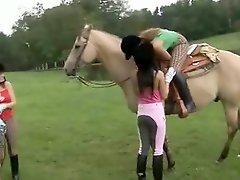 A group of teenage girls are in a field riding horses. They begin to...