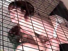 Two girls in diapers sucks tits in a cage