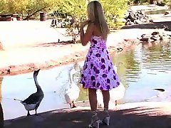 Unbelievable Alison Angel Plays With Ducks Outdoors