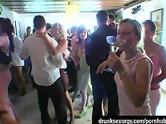 Elegant bitches take dicks at a wedding