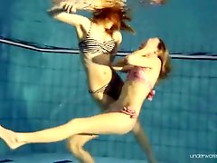Beauties swim together in an underwater scene