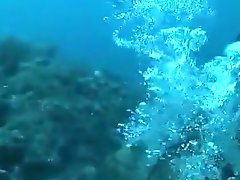 Amateurs receive taped having underwater scuba sex