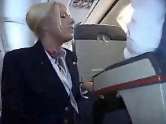 Stewardess Handjob and Blowjob