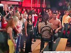 Sexy babes dancing on party